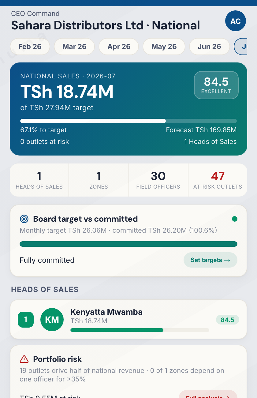CEO command dashboard showing national sales, target progress, and portfolio risk
